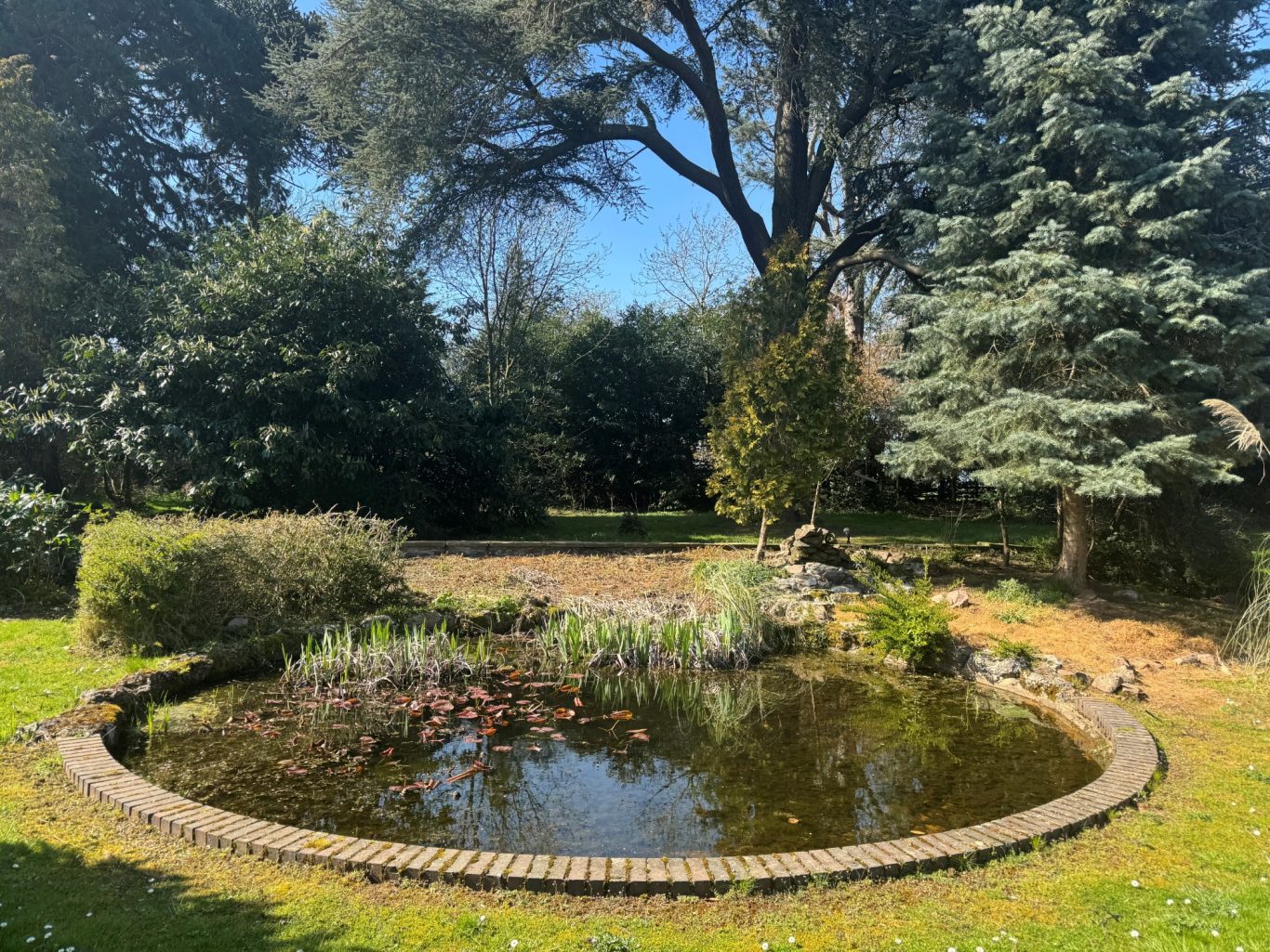 The beautiful pond in the grounds of GOOD CHAT Counselling and Psychotherapy in Quorn, Leicestershire